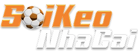 cstock.com.tw