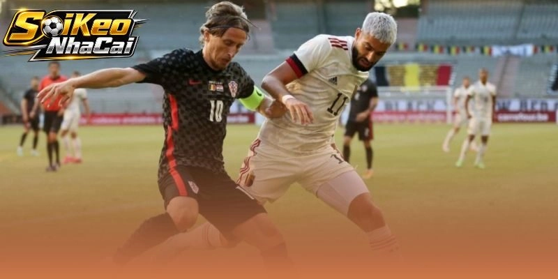 Dự đoán tỷ số Bỉ vs Croatia kèm chốt kèo tham khảo ngày 25/06
